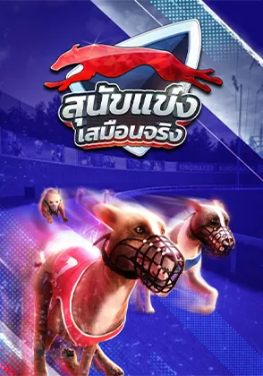 dog-race-card-page-kamo99